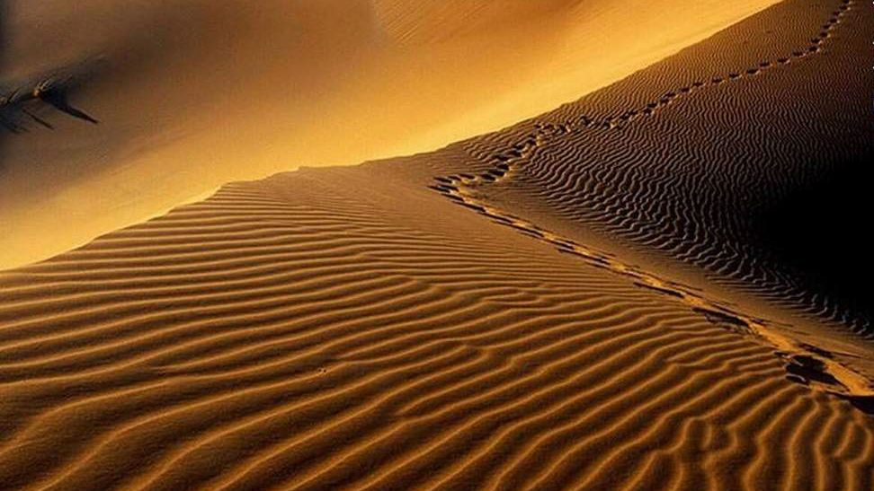 عملیات جستجو و نجات گردشگر مفقود شده در کویر مصر توسط نجاتگران هلال احمر خور و بیابانک